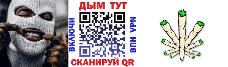 где купить   Котельниково  Шишки марихуана конопля 
